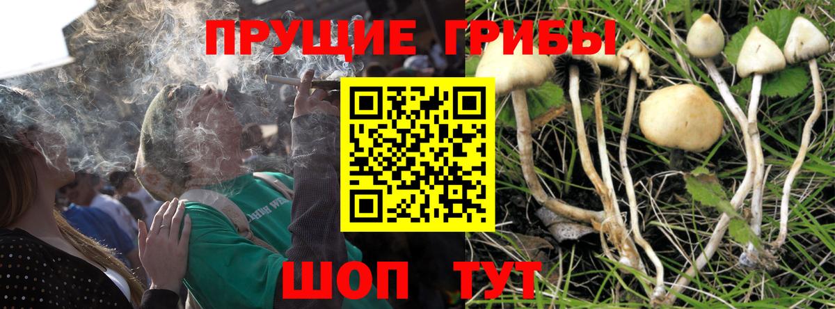 Галлюциногенные грибы мицелий  Вход с VPN  Чехов  Псилоцибиновые грибы GOLDEN TEACHER 
