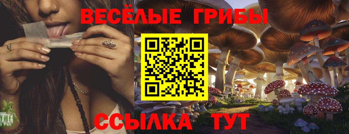 Галлюциногенные грибы Magic Shrooms Чехов